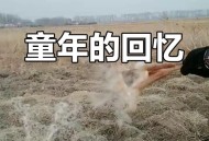 80年前的今天 ,80年前的今天发生了什么