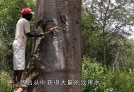 生命树疑被恶意评分,生命树课程有用吗？