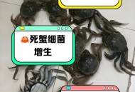 在餐厅点到有毒螃蟹,螃蟹生吃有毒吗？