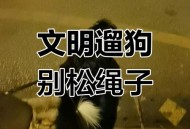 明年遛狗不拴绳违法,明年遛狗不拴绳违法吗