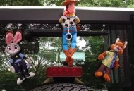 娃坐在行驶汽车车顶,凤凰顶的宝宝怎么样？