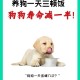 点拼好饭被骂狗饭 ,为什么小狗刚吃完东西后叫那？