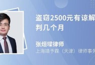 律师盗窃获刑7个月,律师盗窃获刑7个月怎么处理