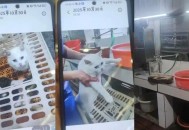 有商户现宰活猫出售,市场卖现宰活猫