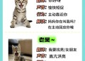 英国猫听不懂中文,英国短毛猫叫声吸引猫怎么办？