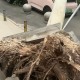 男子砸记者采访设备,百叶窗掉落，宁波一小区住户被砸伤，记者采访也差点被砸, 你怎么看？