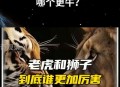动物园狮子遭虎撕咬,为什么狮子不会攻击老虎？