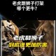 动物园狮子遭虎撕咬,为什么狮子不会攻击老虎？