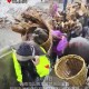 云南强降雨5人遇难,云南外五县是哪几个？