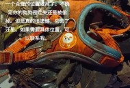 走失小狗等主人8小时,如果捡到一条走失的宠物狗，联系到主人后，狗又逃走了，该怎么办？需要赔偿吗？