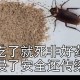 1岁女孩误食蟑螂药,蟑螂引诱济，儿童吃了，会中毒吗？