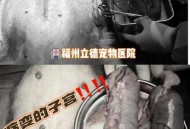 男童被犬只撕咬下体,狗生完小狗一般多长时间阴部就不在流血了？