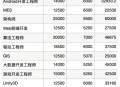 年薪45万程序员流浪,年薪40万程序员什么水平
