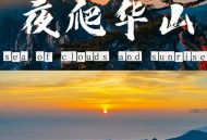 夜爬华山看到火箭,西安那个公司人最多，有多少人？