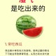 湿气越吃越少的食物,湿气重吃什么菜？