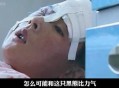 孕妇遭黑熊袭击,家里有个熊孩子经常打孕妇肚子，父母不教育怎么办？
