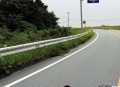 旅行被困高速18小时,开车去旅游，在高速上正在走，遇到一只鸽子拦路，是什么意思？