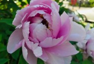 涉密材料发群被处分,公文发文件时如何建群？