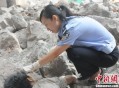 女婴家属提异地尸检,异地死亡，尸体可不可以运回老家呢？