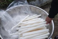 广西男子自制炮米花,广西男子自制炮米花视频