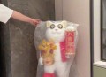 招财猫进店接到客人,招财猫进店接到客人怎么办