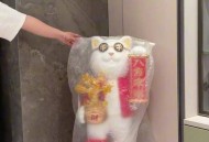 招财猫进店接到客人,招财猫进店接到客人怎么办