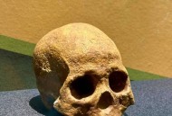 贵州现52具熊猫化石,熊猫最早的化石？