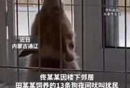 毒死9条狗获刑4年,深圳某小区有人投毒害死9条狗，对这种毒死宠物的行为你支持吗？