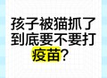 男童被冒名打疫苗,男童被冒名打疫苗怎么处理