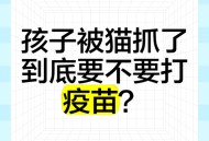 男童被冒名打疫苗,男童被冒名打疫苗怎么处理