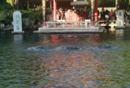 趵突泉靠水泵才喷涌,趵突泉靠水泵才喷涌吗 趵突泉靠水泵才喷涌,趵突泉靠水泵才喷涌吗