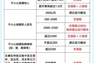 撞车女子涉危险驾驶,撞车女子涉危险驾驶怎么处理