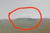 客机空中与鸟群相撞,机场出现鸟群会影响飞机起飞吗？