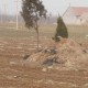 墓地不够颁布禁死令,重庆市农村坟墓的规定？