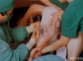 刚出生娃演剖腹镜头,小时候你的父母为你做的哪些事令你至今都难忘？