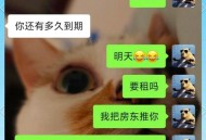 退租因2根猫毛被扣钱,租房猫毛太多