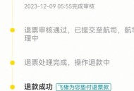 1分内退机票被扣2千,提前一个星期退机票扣多少手续费? 1分内退机票被扣2千,提前一个星期退机票扣多少手续费?