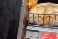 袋装面包现活蟑螂,袋装面包现活蟑螂能吃吗