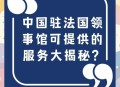 法将在巴设立大使馆,驻巴大使