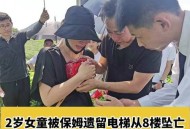 保姆电梯内摔死小狗,保姆电梯打小孩后续
