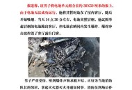 美特斯拉起火致5死,上海特斯拉车库自燃起火，官方回应称正核实情况, 你怎么看？