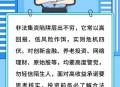 养老院非法集资28亿,养老院非法集资28亿判几年