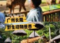 动物园花5万招司机,动物园招聘230一天 动物园花5万招司机,动物园招聘230一天