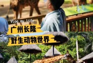动物园花5万招司机,动物园招聘230一天 动物园花5万招司机,动物园招聘230一天