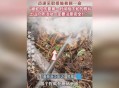 采蘑菇被毒蛇咬伤,为什么蘑菇底下有蛇？