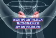 甲状腺为熬夜买单,甲状腺 熬夜