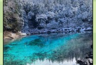 九寨沟初雪后如仙境,九寨沟何时下雪? 九寨沟初雪后如仙境,九寨沟何时下雪?