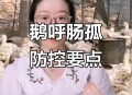 这种病毒也开始高发,鸭，鹅黄病毒最近高发，如何有效预防与治疗？