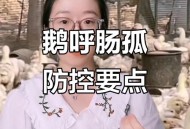 这种病毒也开始高发,鸭，鹅黄病毒最近高发，如何有效预防与治疗？