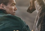 日本100只狗葬身火海,有一部日本的关于宠物狗与人电影的名字？